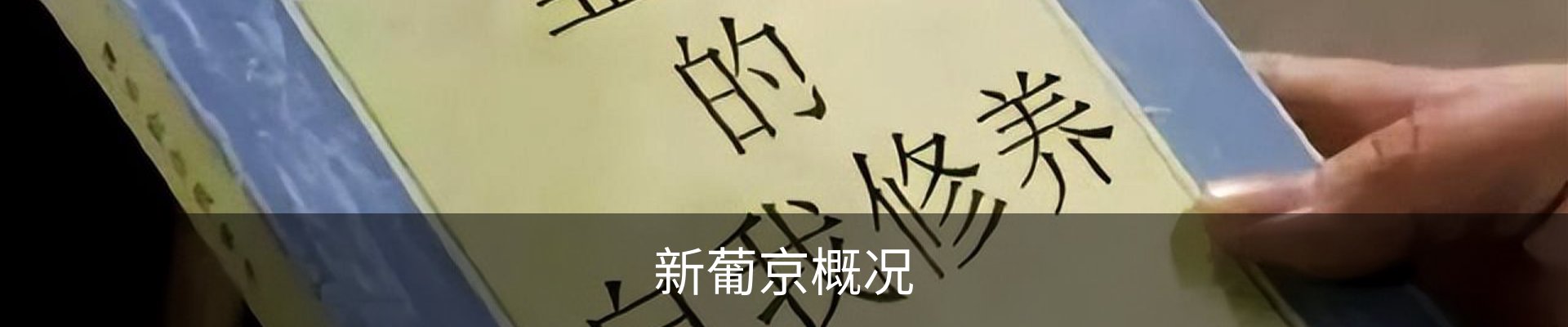 新葡京概况